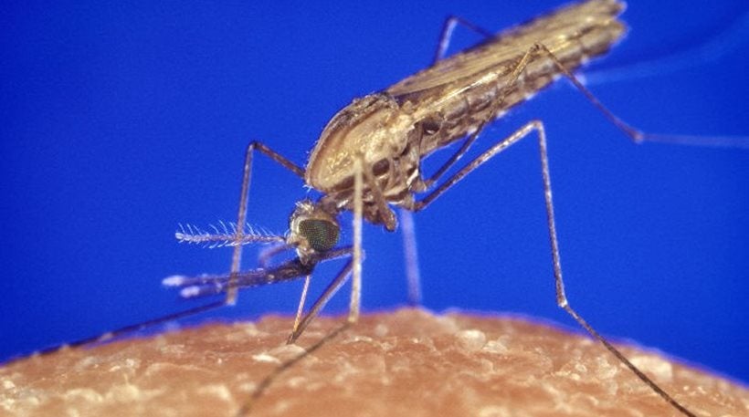 Mε επιτυχία στέφθηκε η πρώτη δοκιμή νέου εμβολίου για την ελονοσία